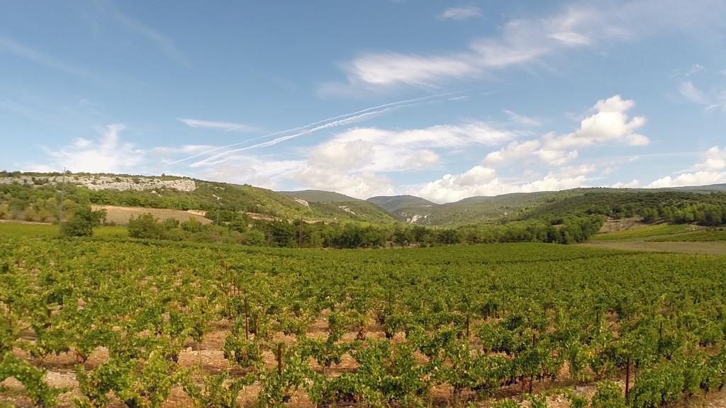 La Fontaine Des Noyers Villa Saint-Saturnin-lès-Apt Dış mekan fotoğraf