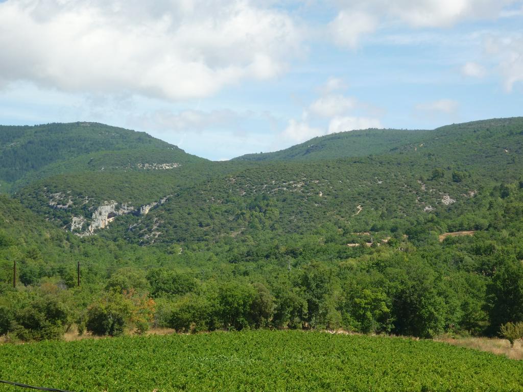 La Fontaine Des Noyers Villa Saint-Saturnin-lès-Apt Dış mekan fotoğraf